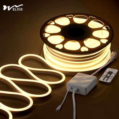 quality 120LED 네온 로프 라이트 Dimmable 110V 220V Cuttable 원격 제어 스트립 라이트 factory